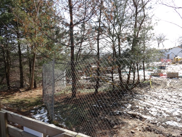 Grizzly Ridge Construction 2013.02.10