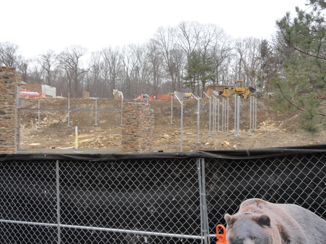 Grizzly Ridge Construction 2013.02.23