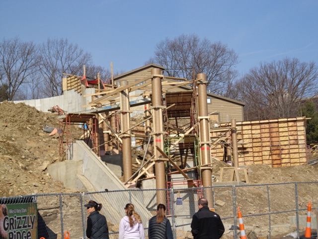 Grizzly Ridge Construction 2013.03.10