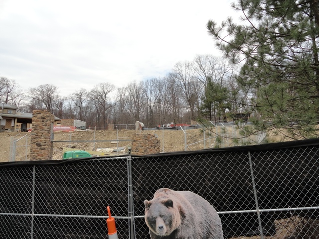 Grizzly Ridge Construction 2013.03.10