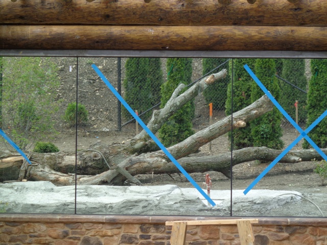 Grizzly Ridge Construction  2013.06.09 (Bald Eagle Exhibit)