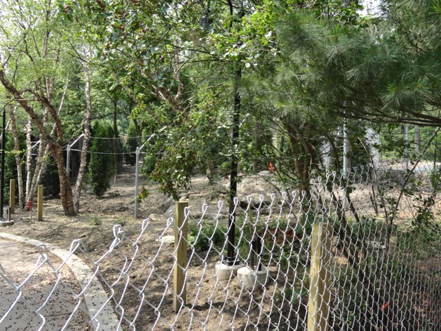 Grizzly Ridge Construction  2013.06.09 (Coyote Exhibit)