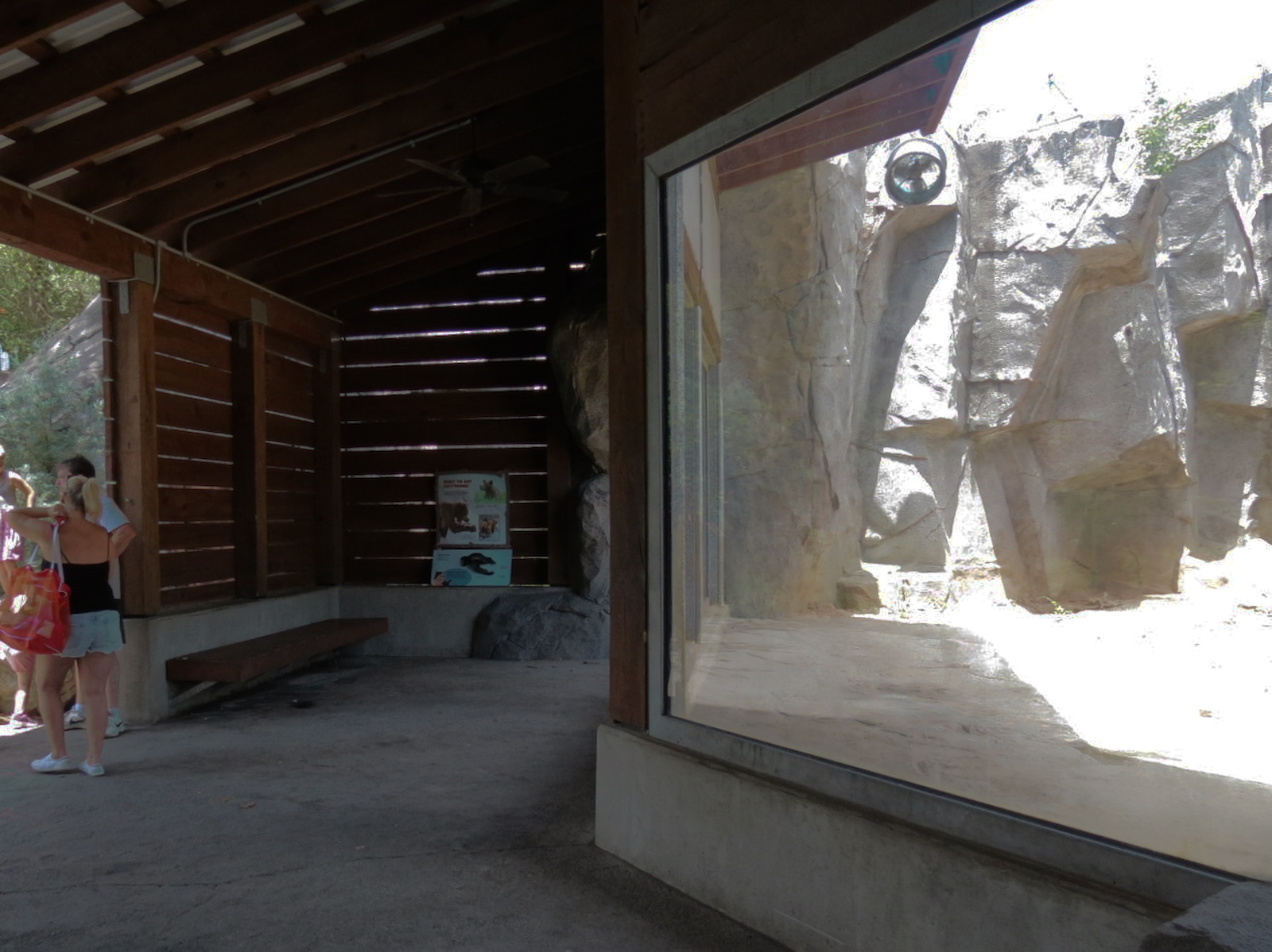 Grizzly Ridge Exhibit