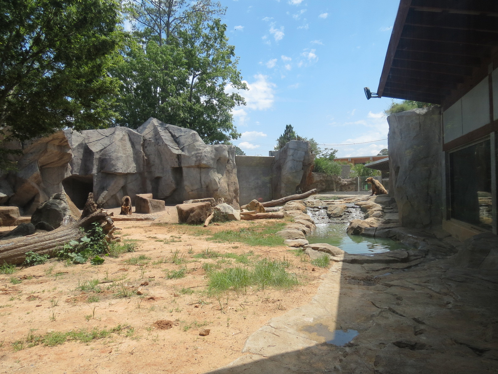 Grizzly Ridge Exhibit