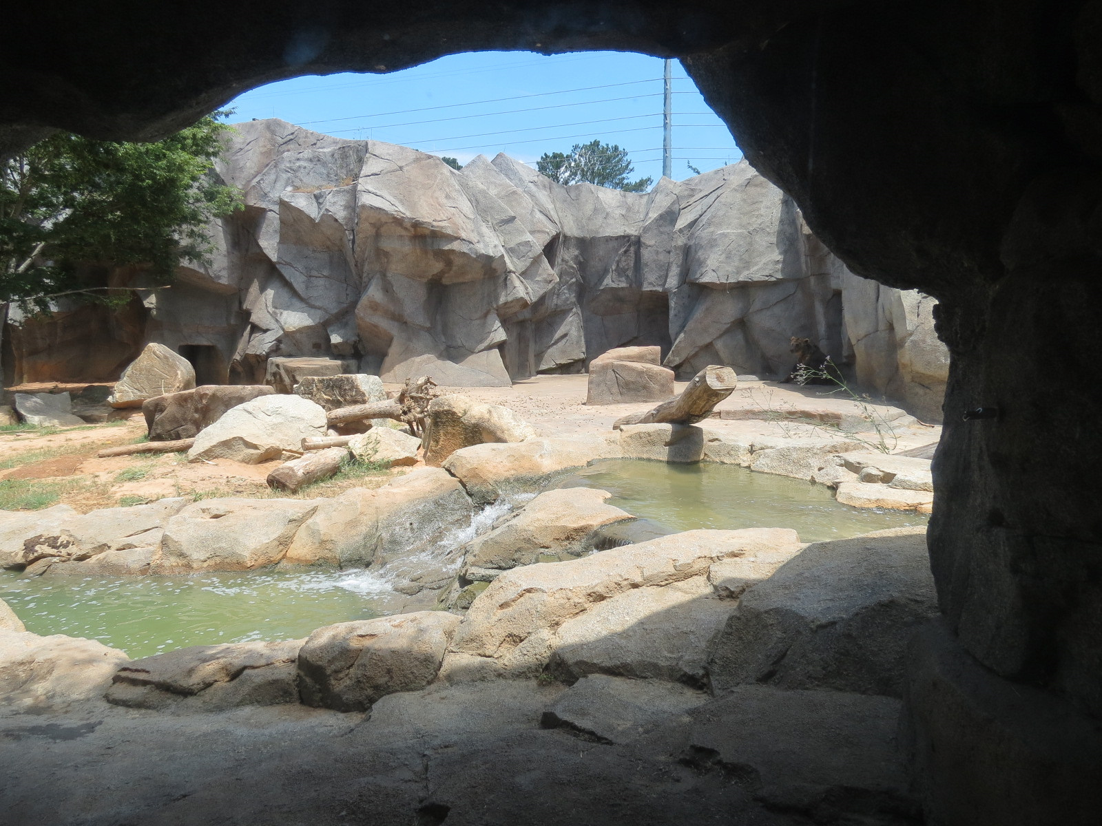 Grizzly Ridge Exhibit