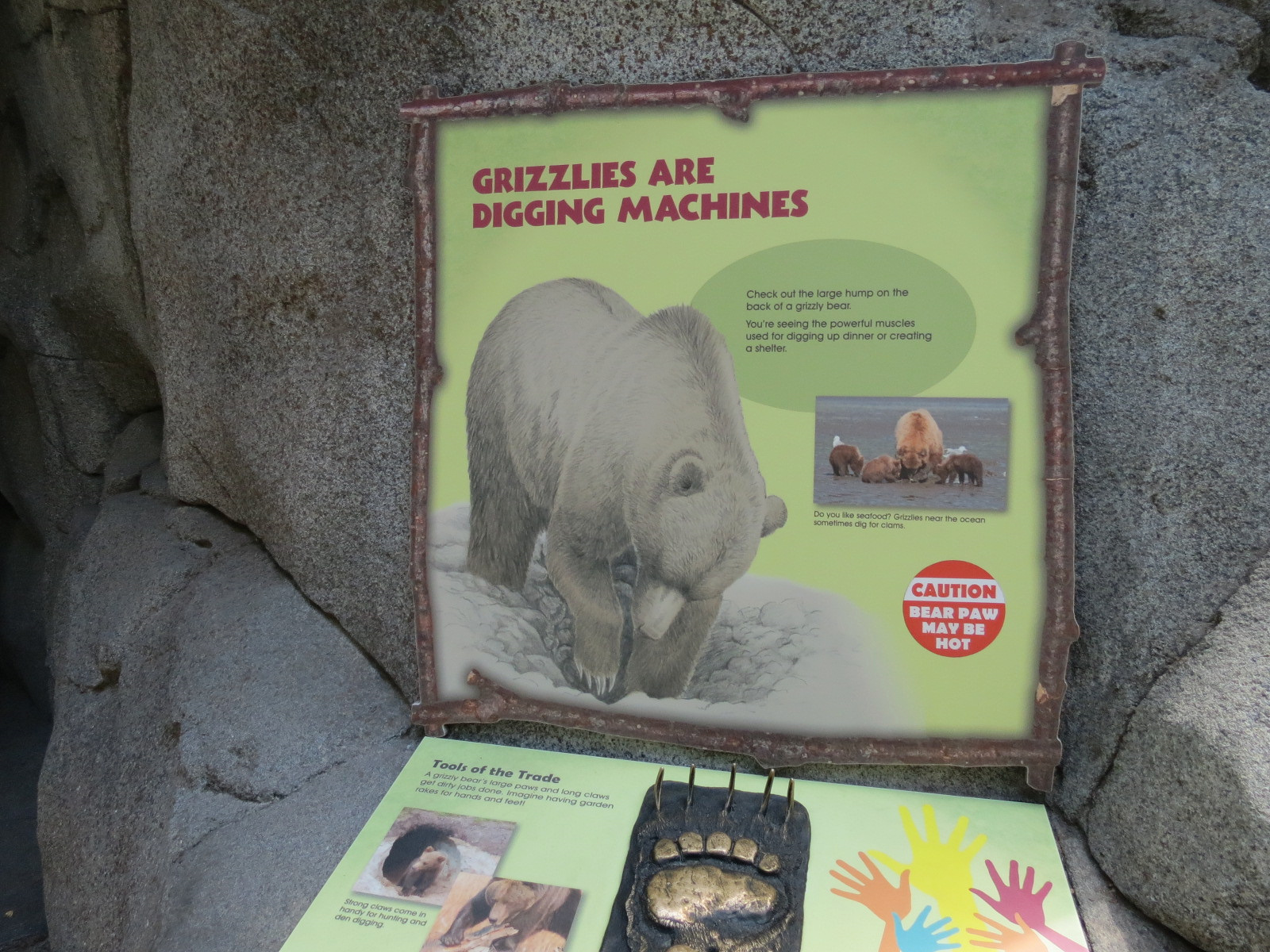 Grizzly Ridge Exhibit