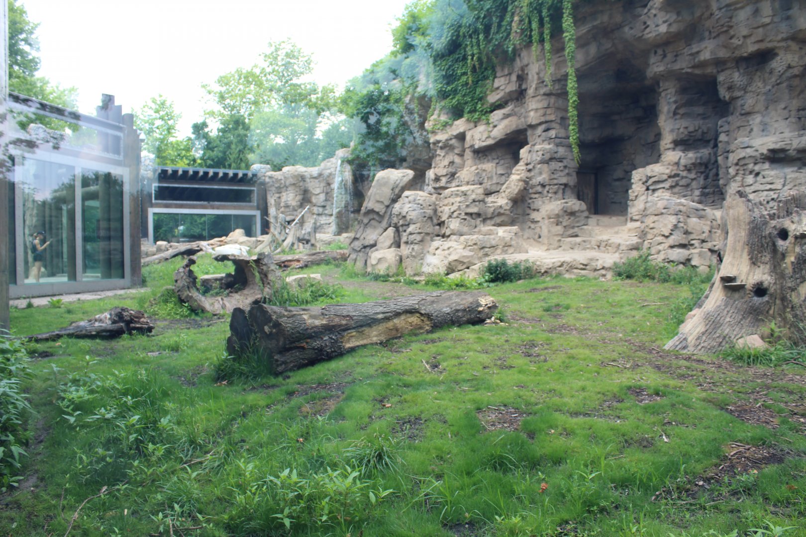 Grizzly Ridge (Grizzly Bear Exhibit)