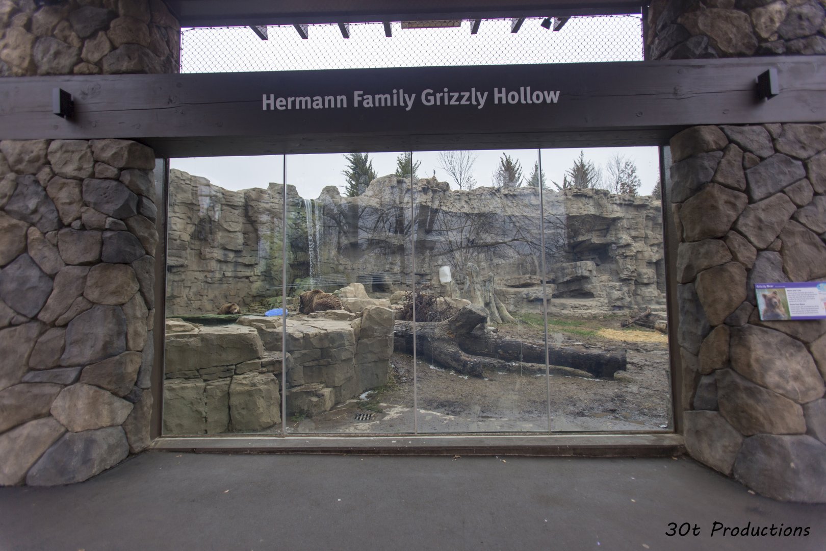 Grizzly Ridge - Grizzly Hollow side of exhibit