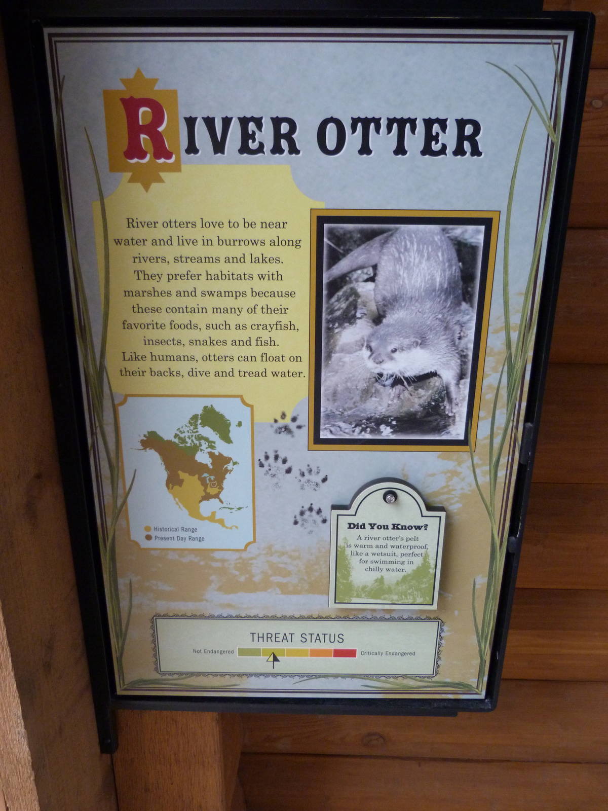 Grizzly Ridge River Otter Signage