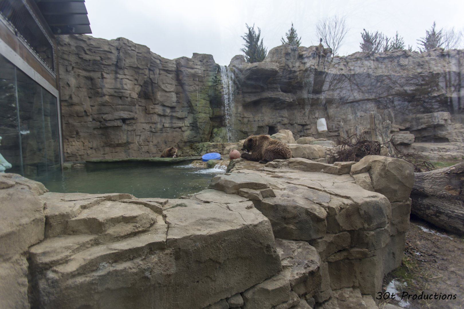 Grizzly Ridge - View through Grizzly Hollow side glass