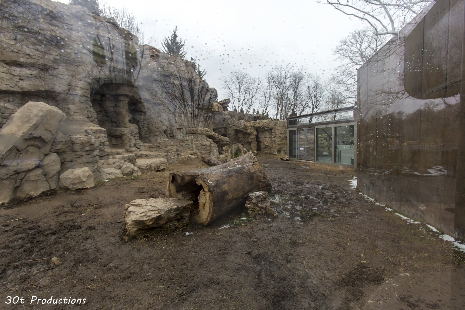 Grizzly Ridge view through middle viewing windows