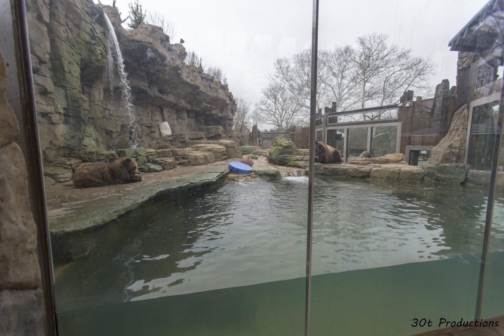 Grizzly Ridge - water viewing area