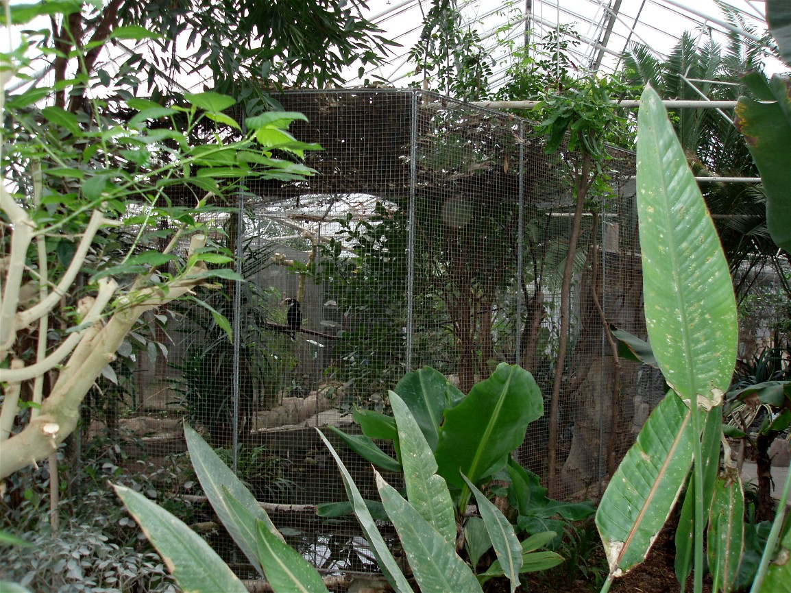 Gron Verden - Hornbill aviary