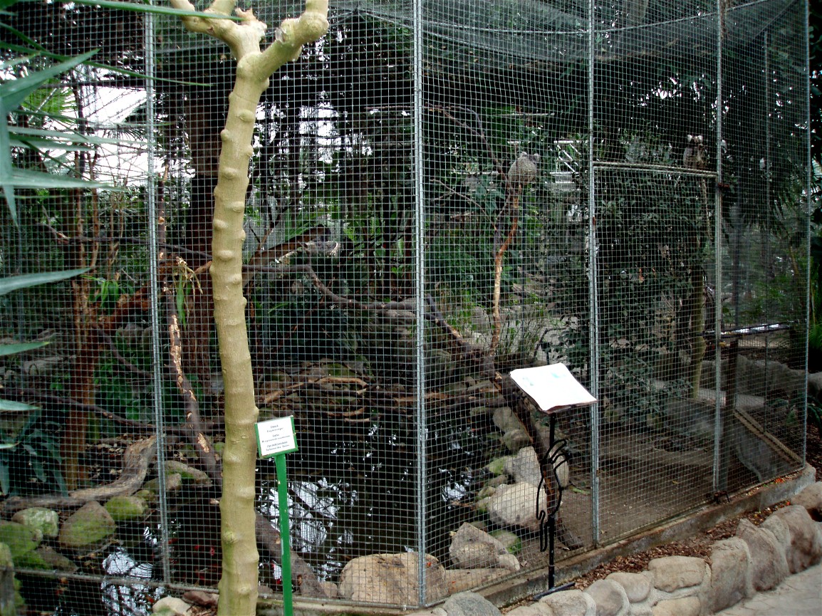 Gron Verden - Marmoset exhibit