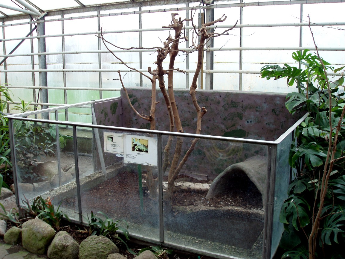 Gron Verden - Monitor exhibit