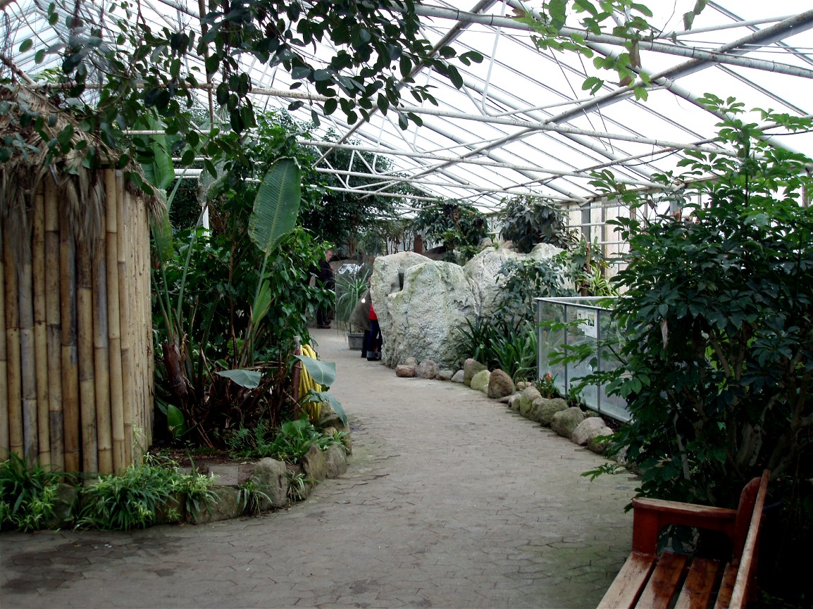 Gron Verden - Rainforest