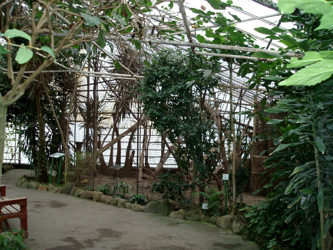 Gron Verden - Vervet monkey exhibit
