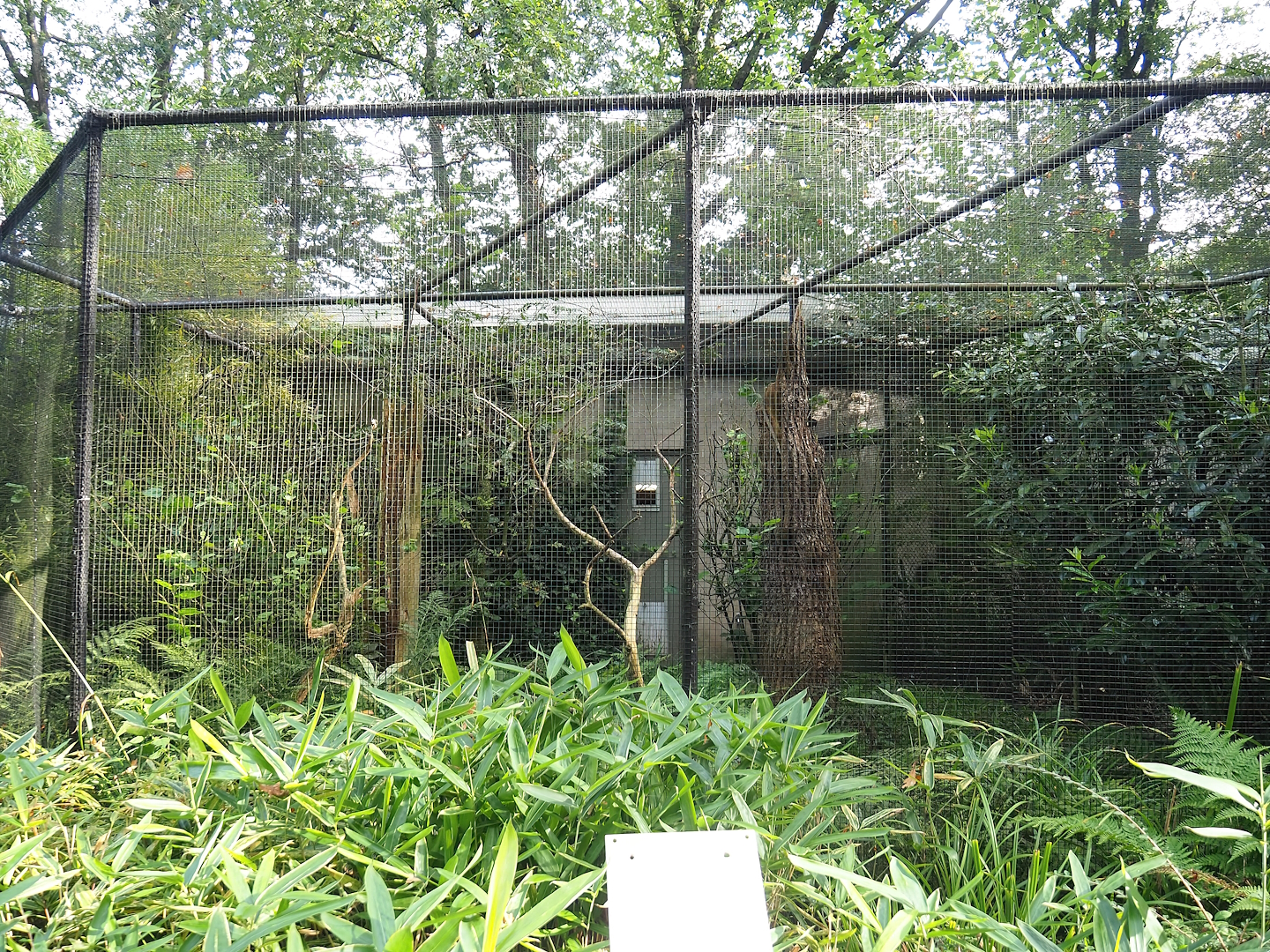 Grosbeak starling aviary, 2023-10-07