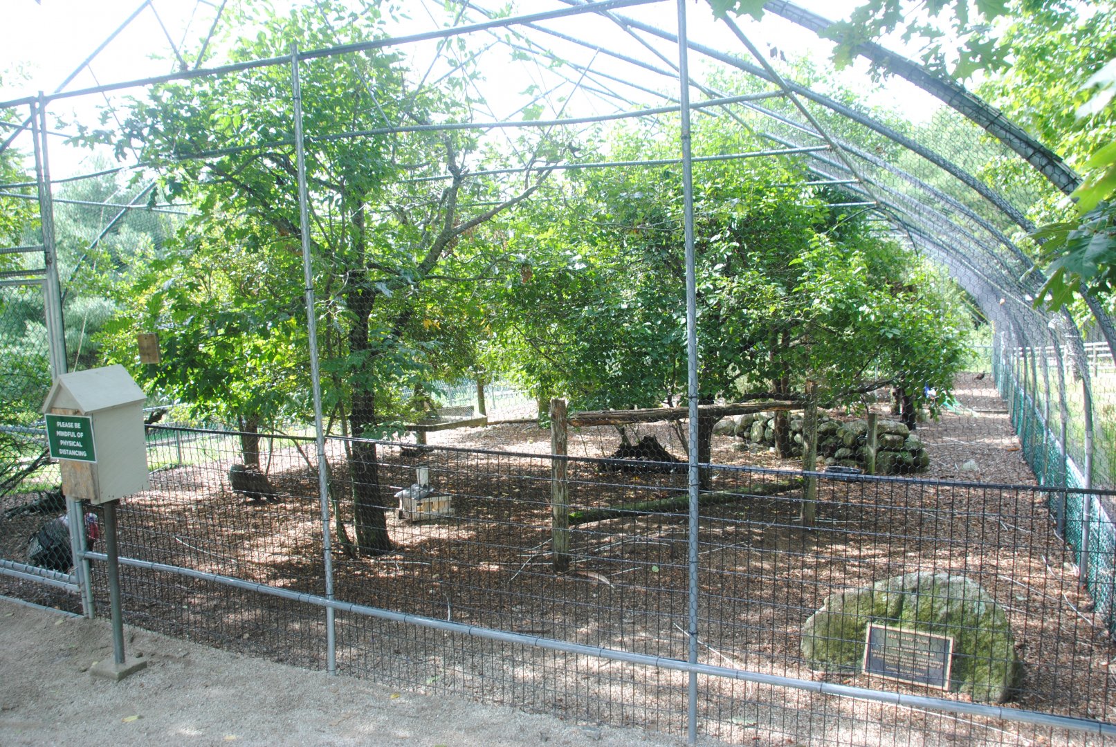 Ground Birds aviary (Wild Turkey, Peacocks, Common Pheasants)