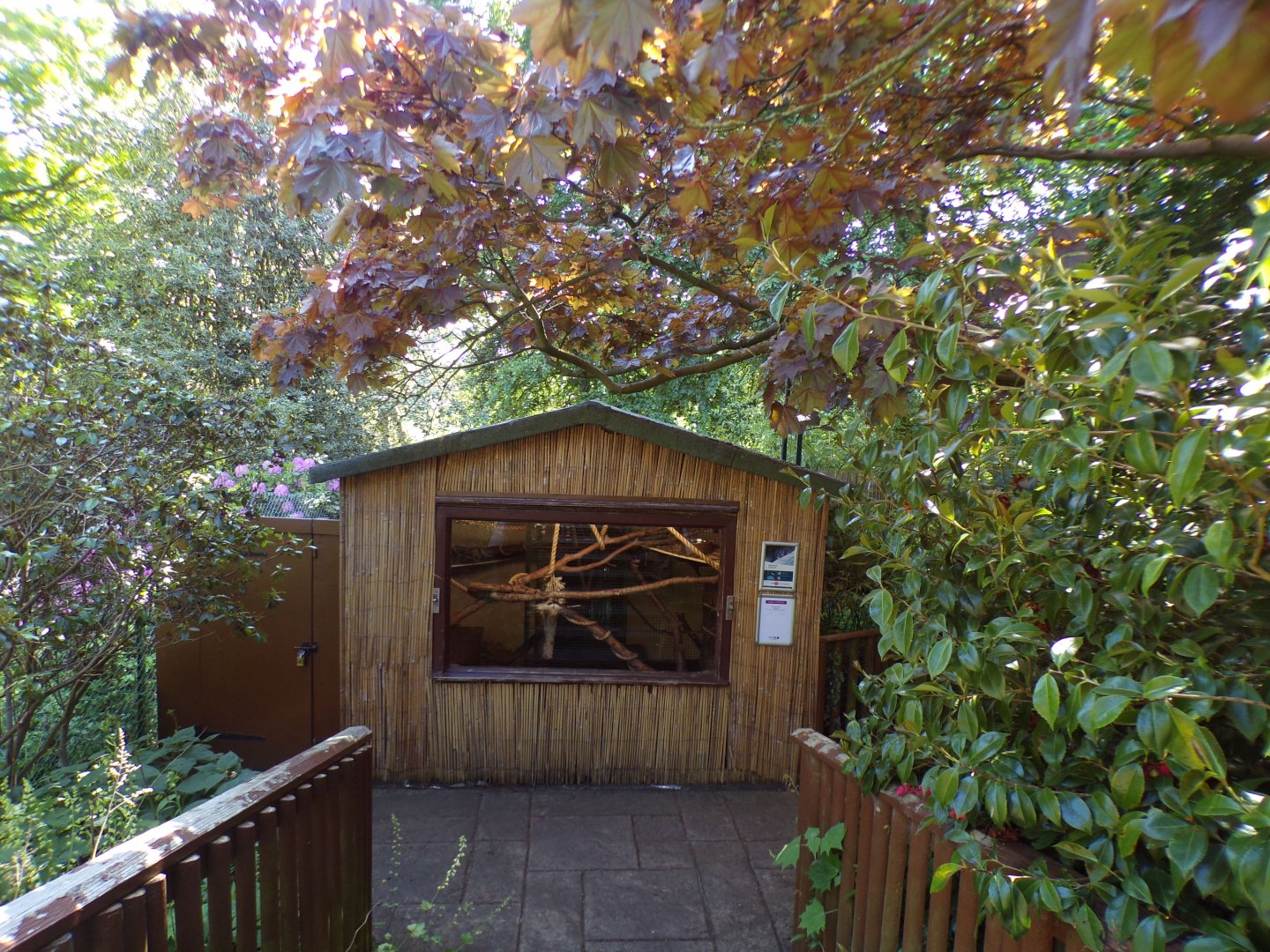 Ground cuscus enclosure 20.5.24