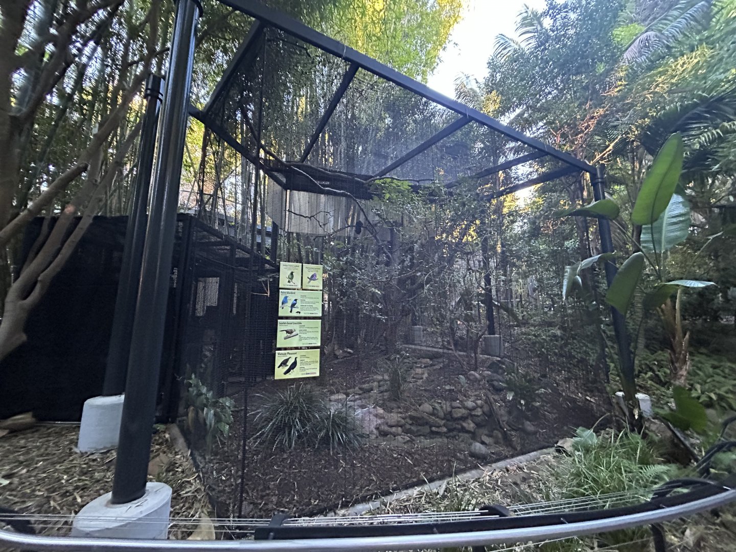 Ground Floor Aviary (5 species) - Monkey Trails & Forest Tales