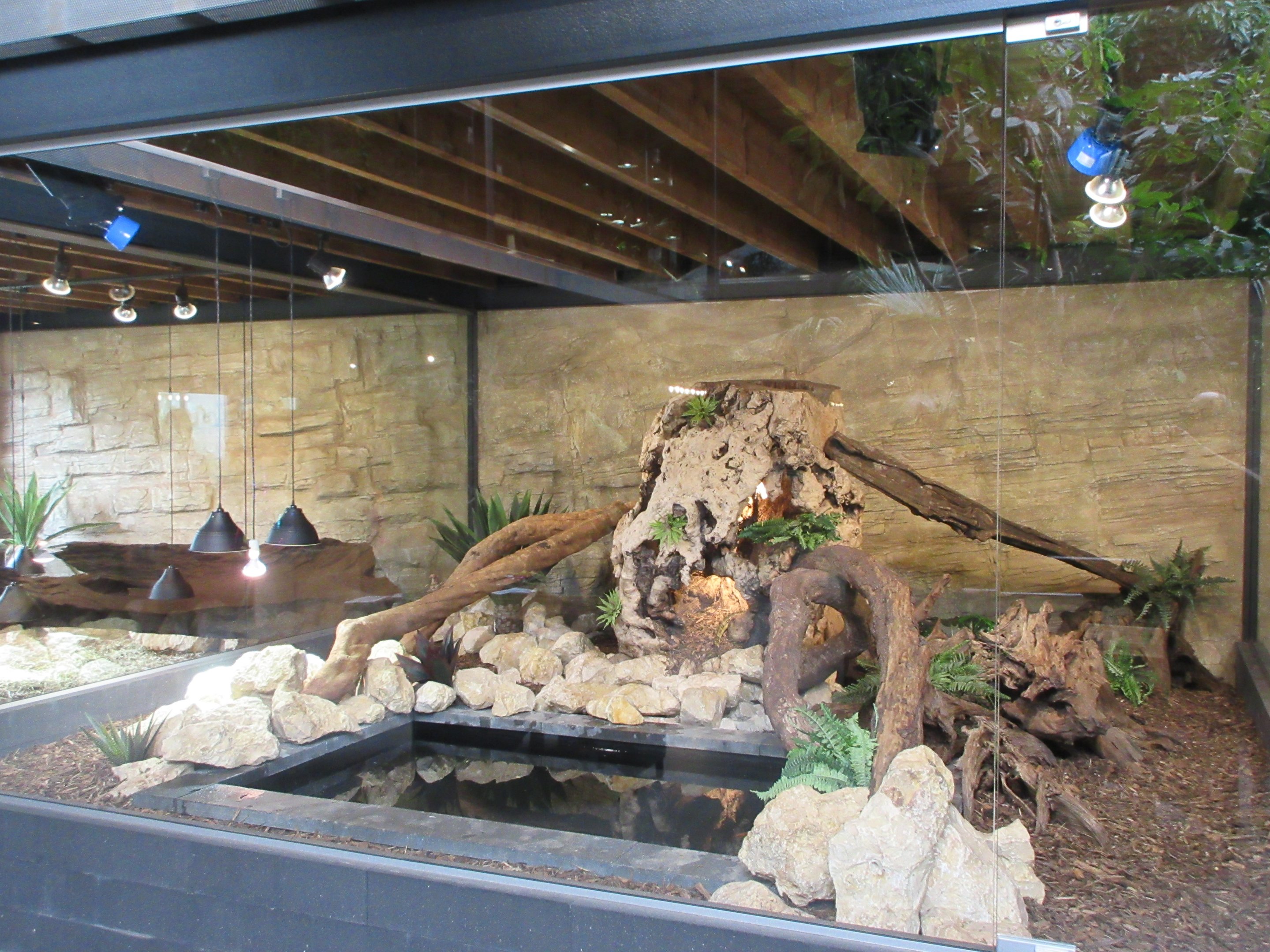 Ground Floor Vivarium