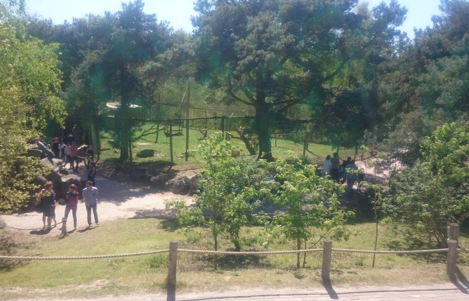 Ground hornbill and Vulture aviary