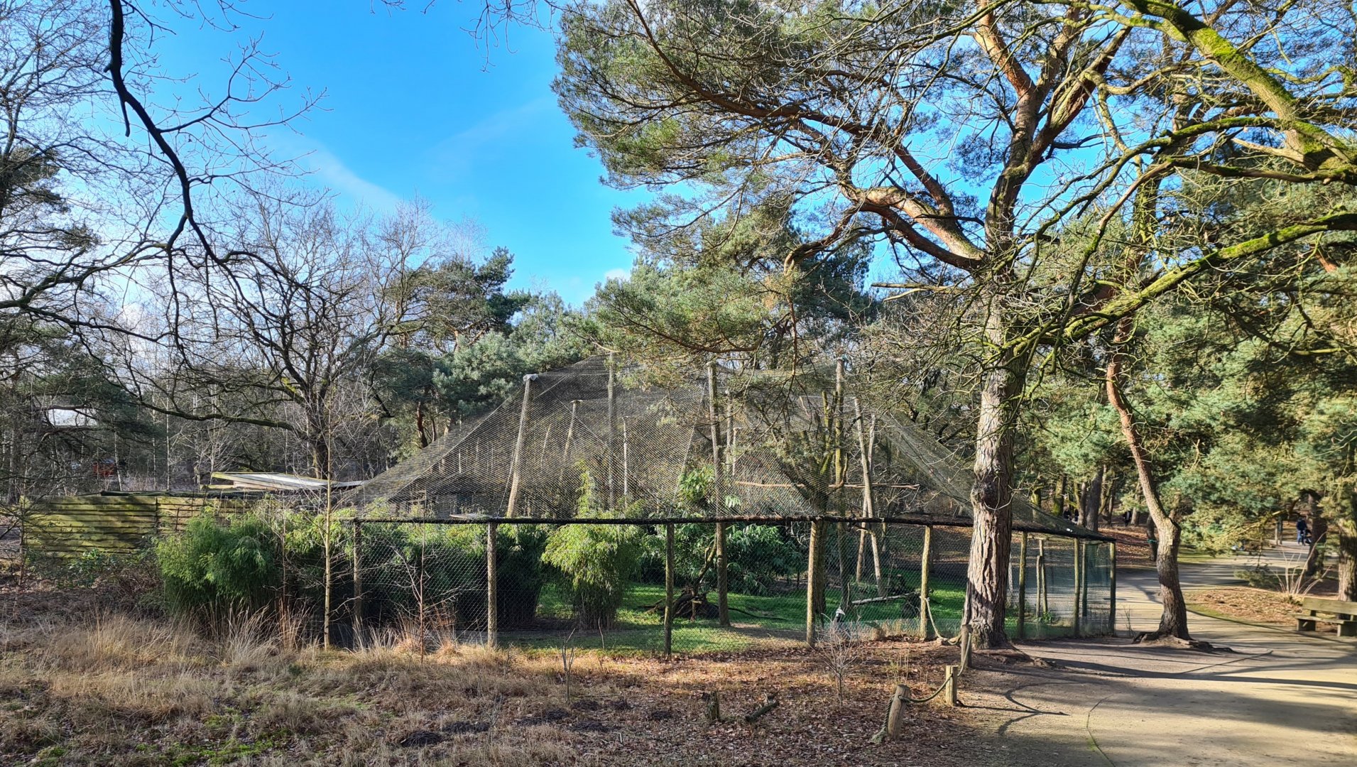 Ground hornbill aviary - As seen from wetlands aviary