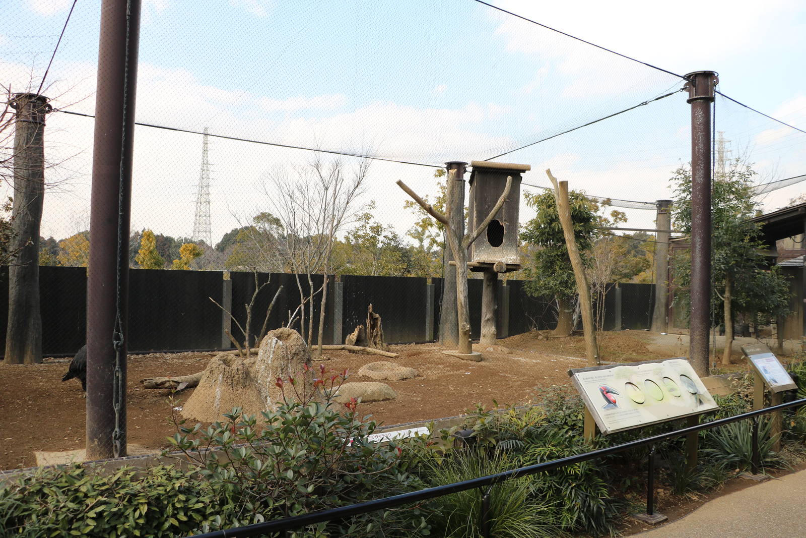 Ground hornbill aviary, February 2016