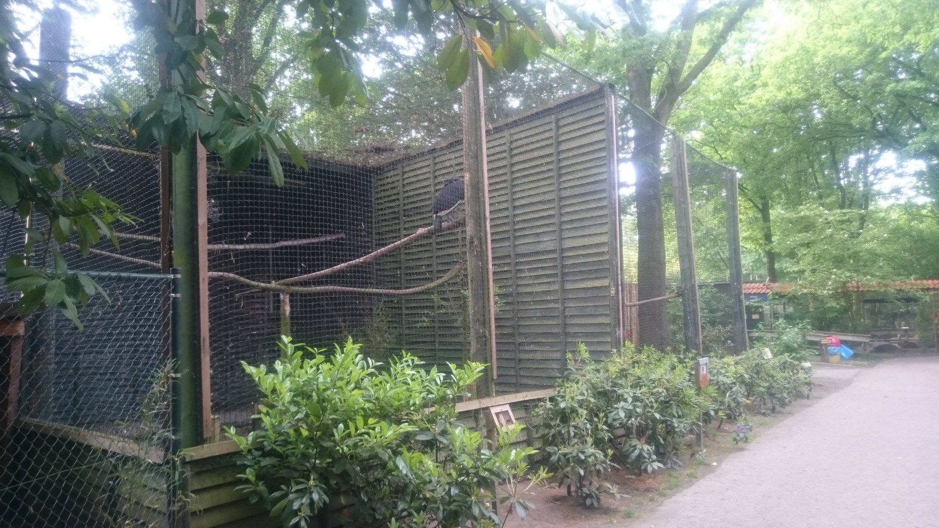 Ground hornbill aviary