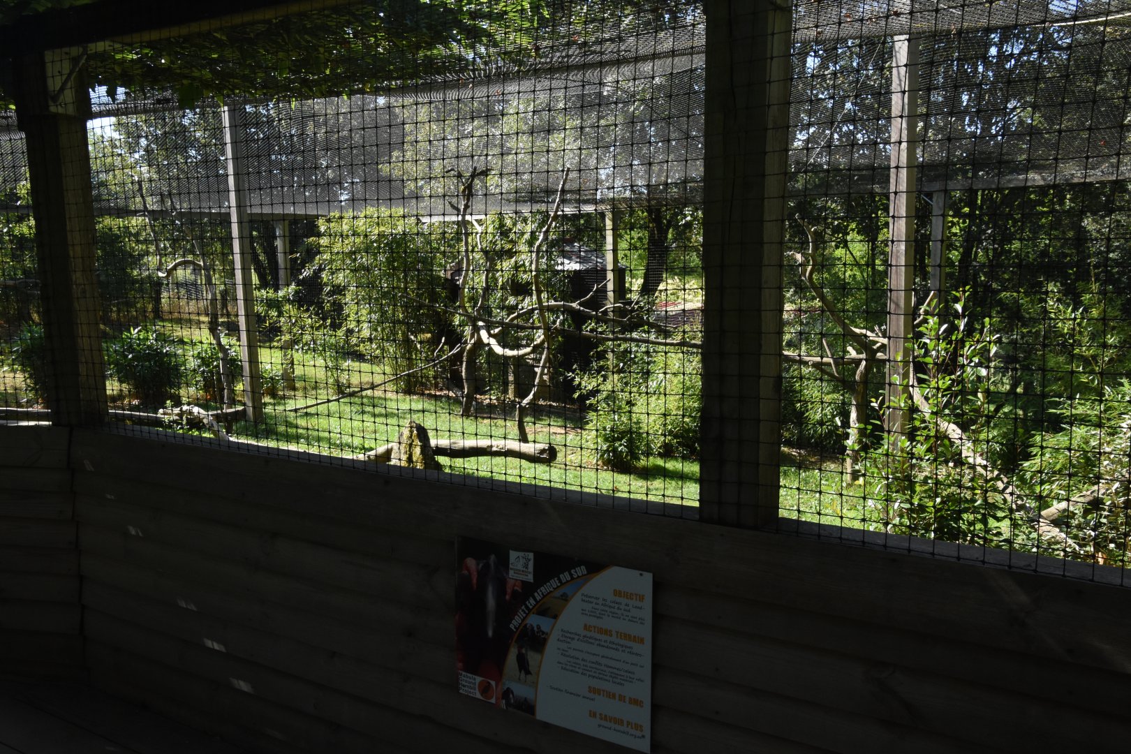 Ground Hornbill aviary