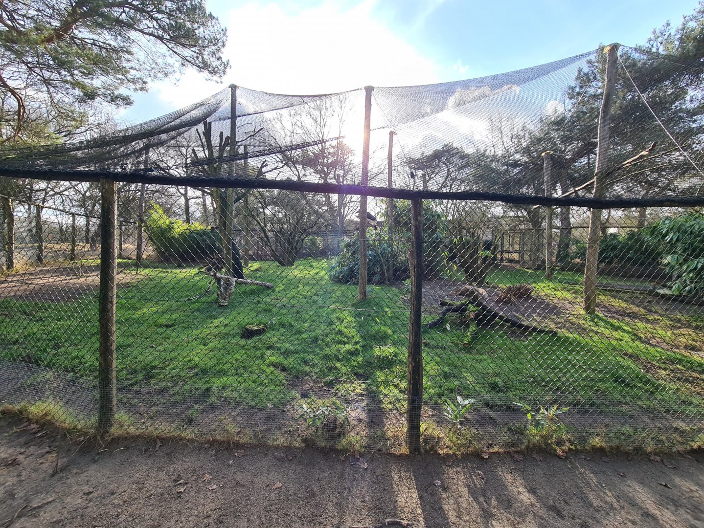 Ground hornbill aviary
