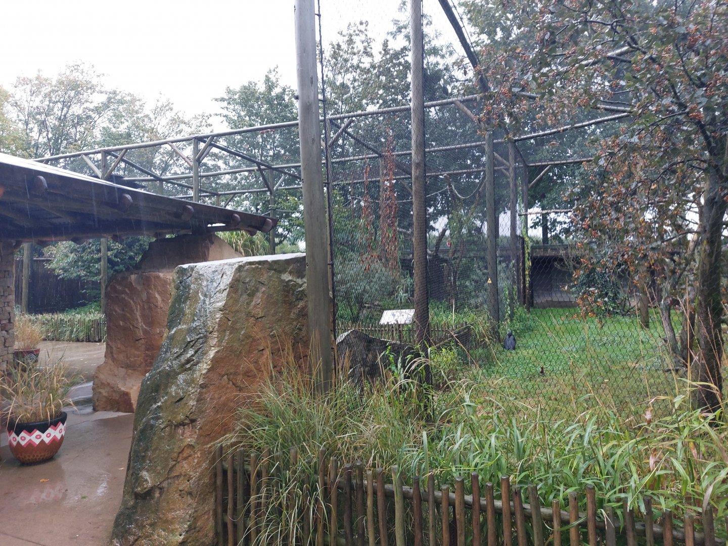 Ground hornbill aviary
