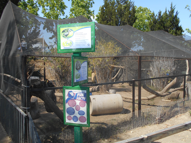 Ground hornbill cage