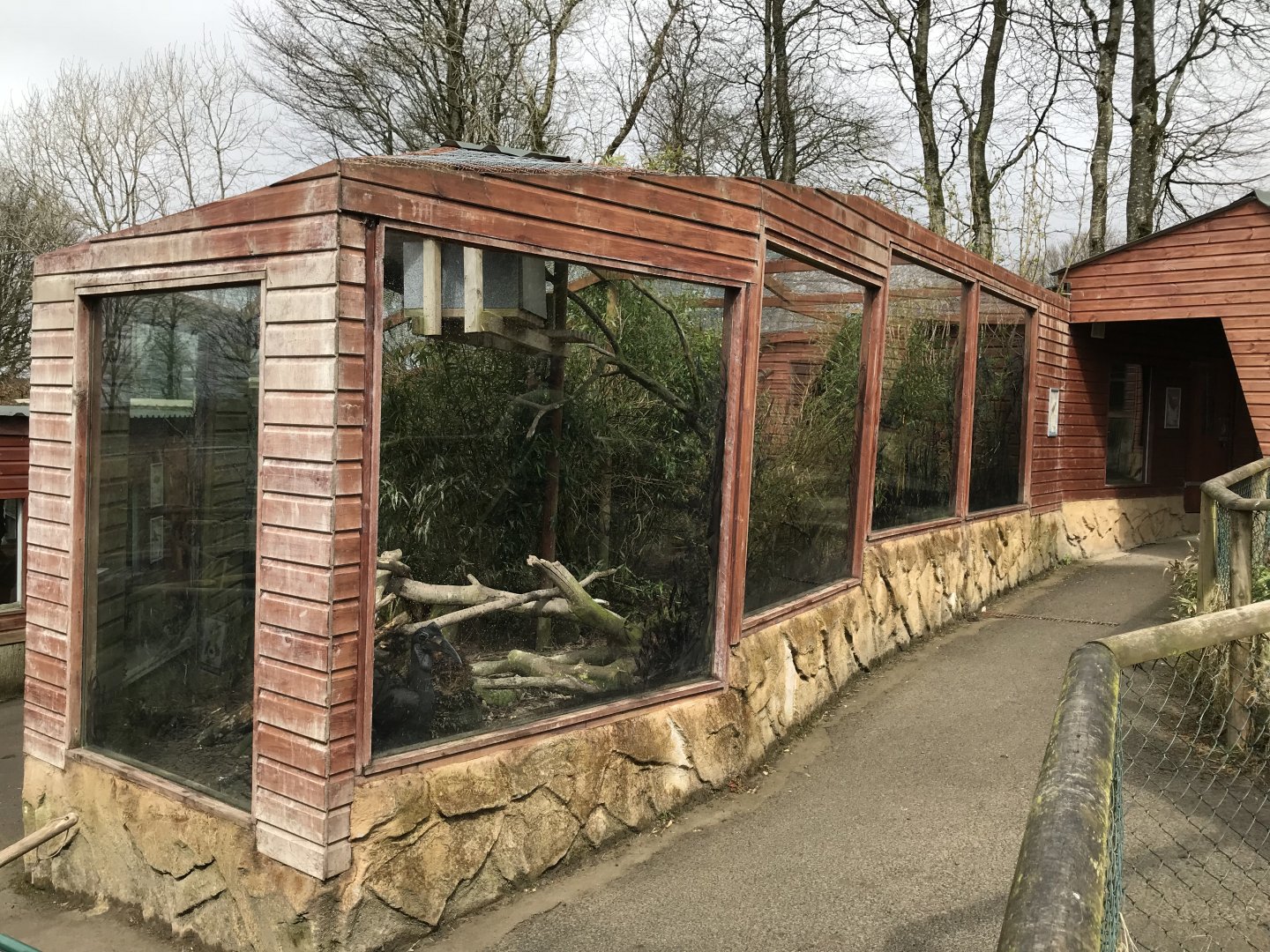 Ground hornbill enclosure 150418