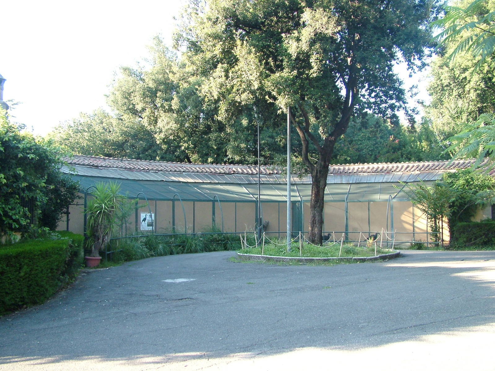 Ground Hornbill exhibit at Bioparco Rome 15/10/09