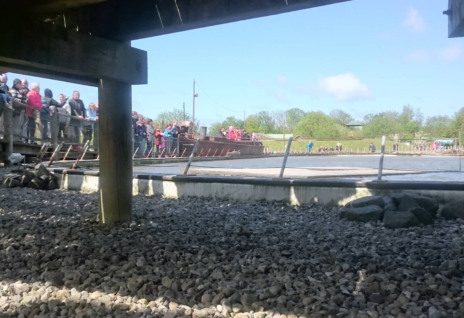 Ground level viewing seal enclosure
