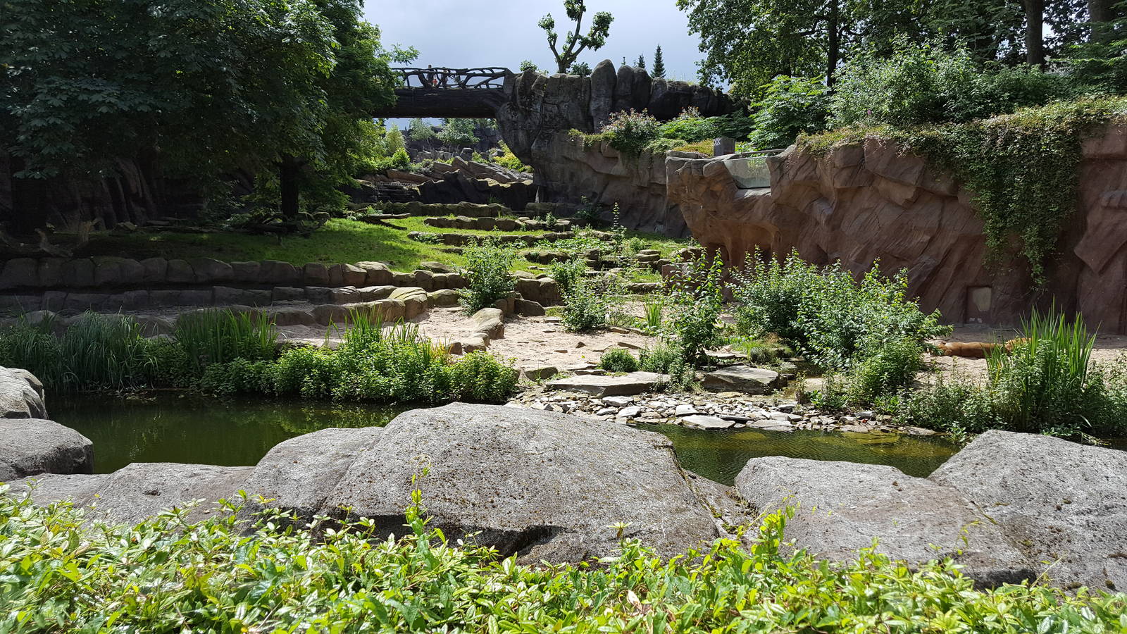 ground view lion enclosure
