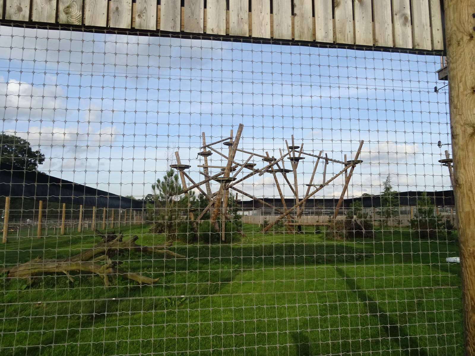 Ground View of Leopard Exhibit