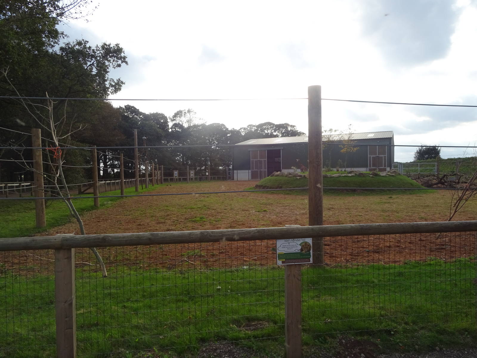 Ground View of the Giraffe Exhibit at Yorkshire Wildlife Park