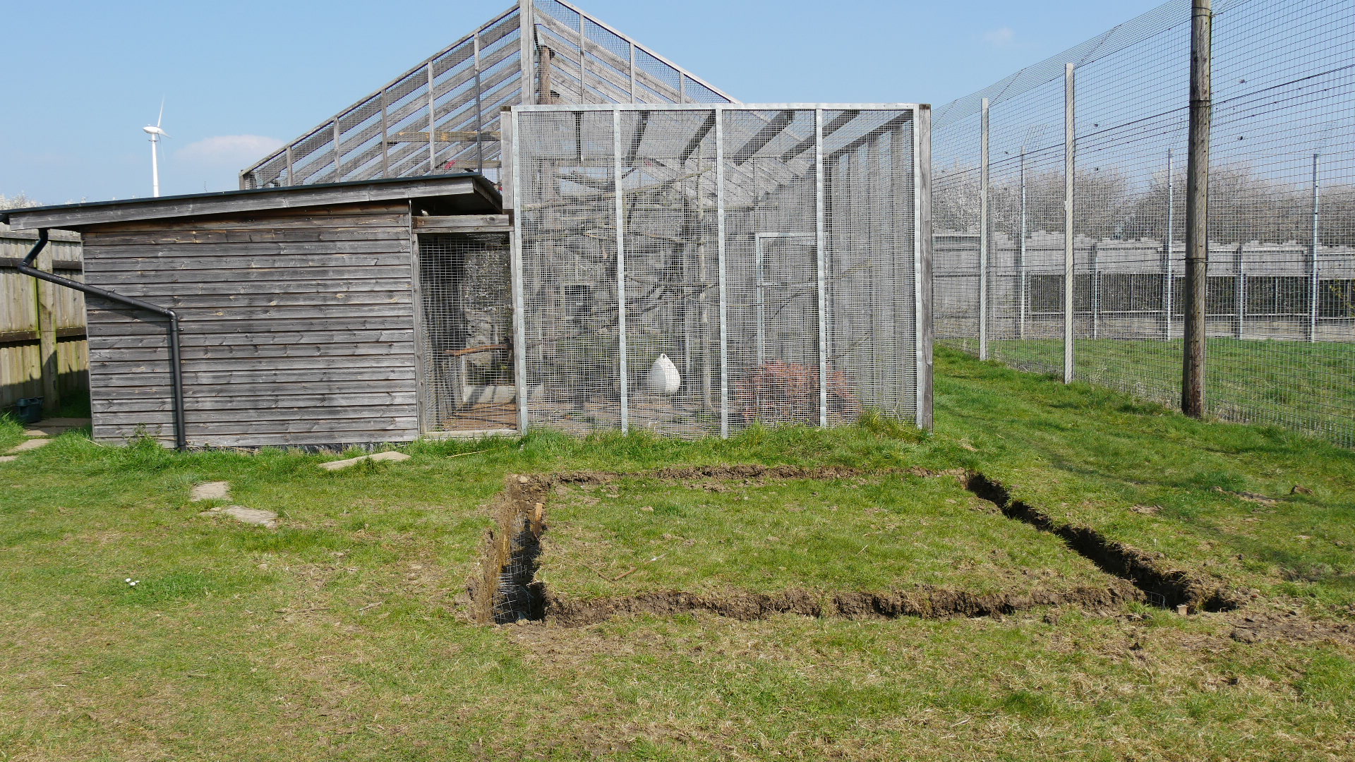 Ground works next to Tayra enclosure