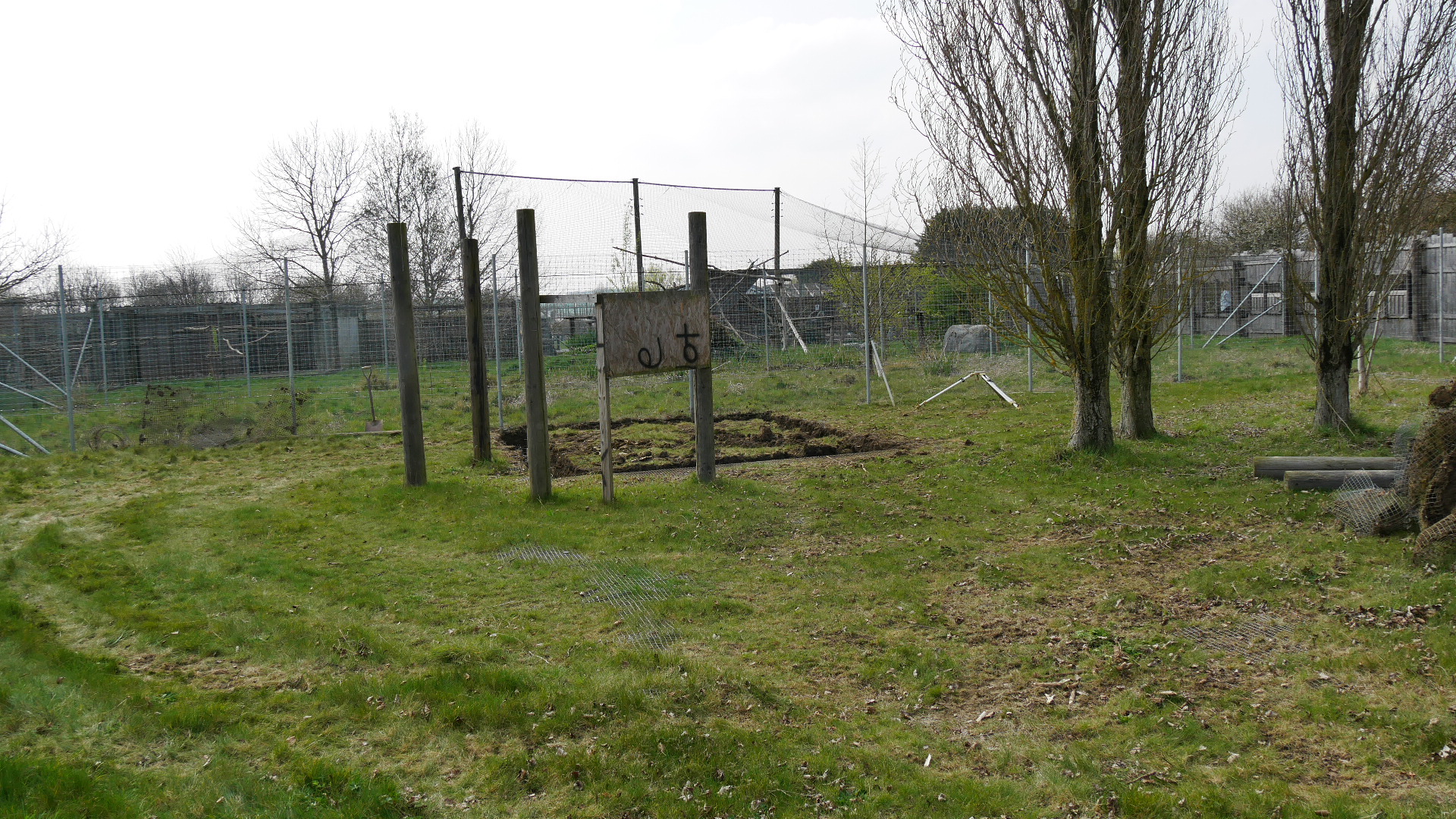Ground works opposite Tayra enclosure