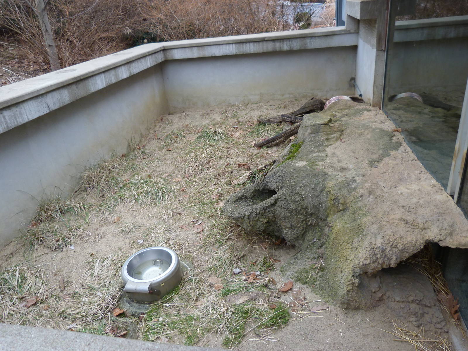 Groundhog Exhibit