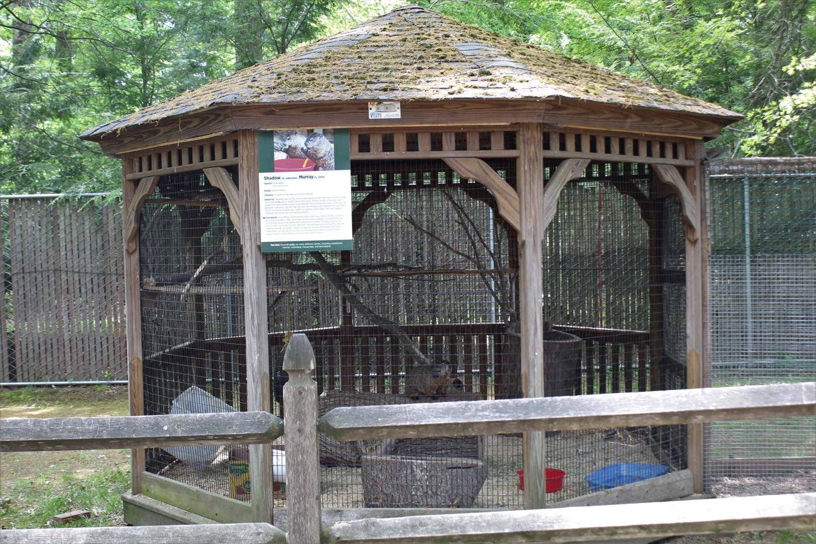 Groundhog Gazebo