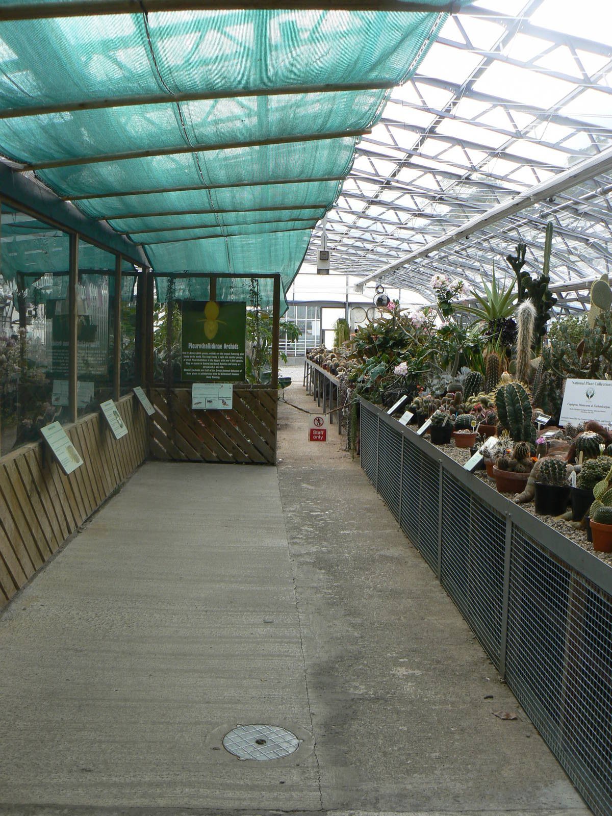 Grow Zone- View Of Green House