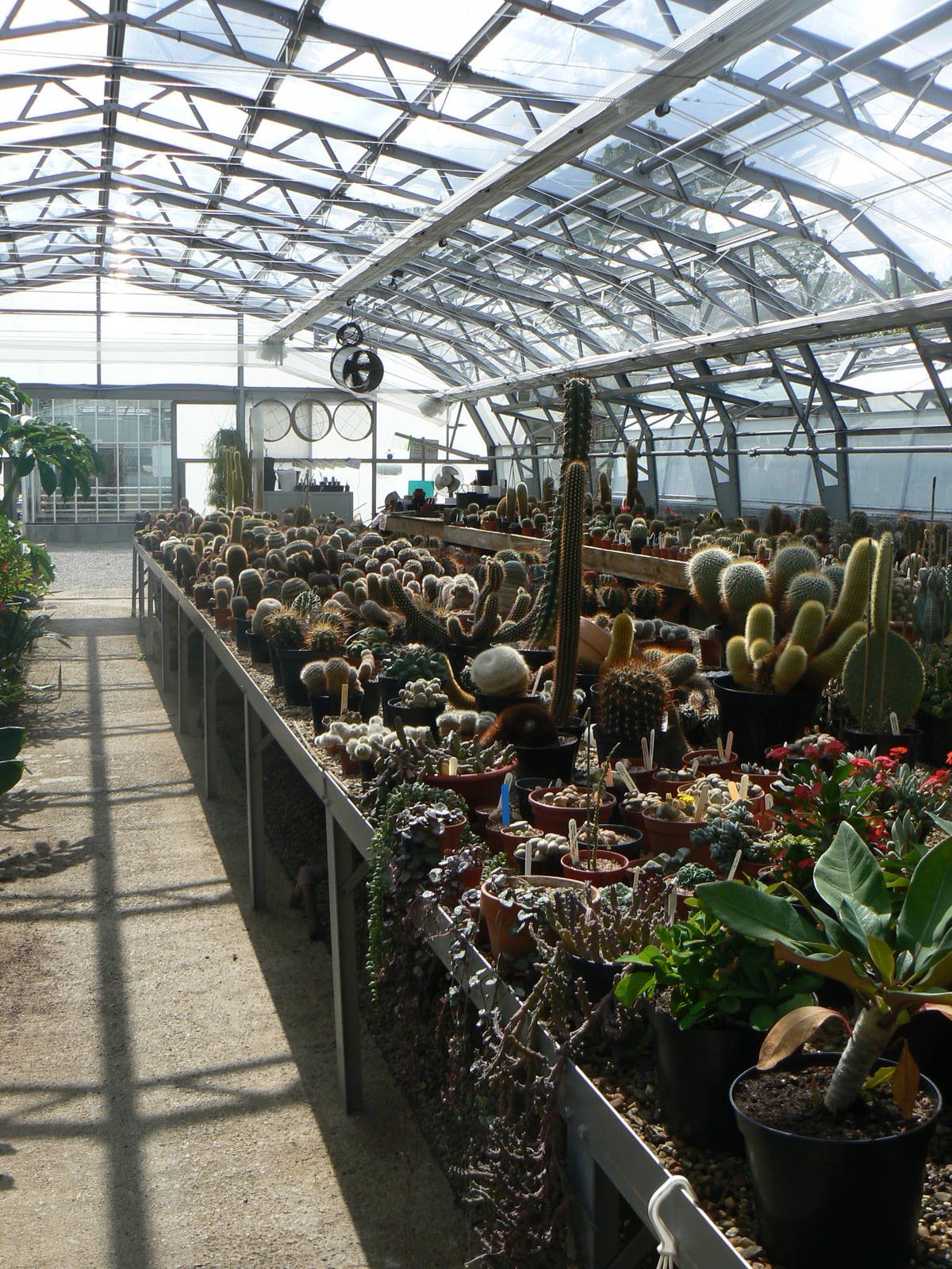 Grow Zone- View Of Green House