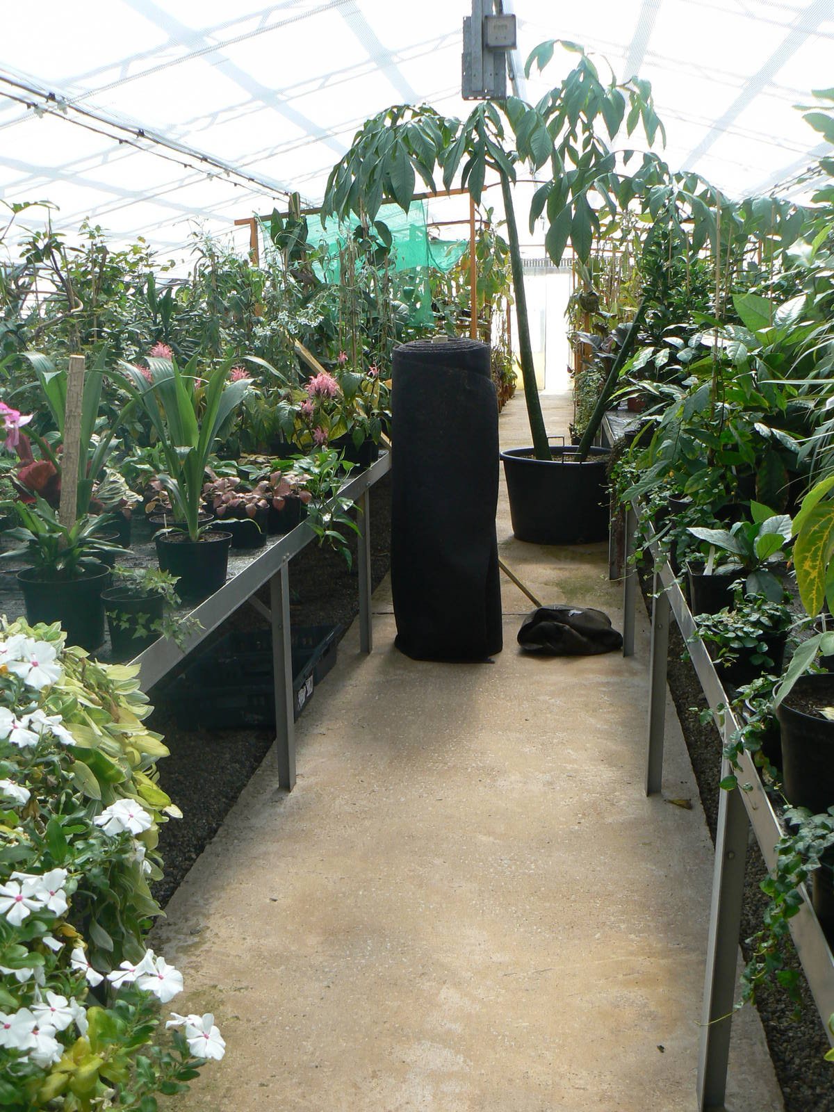 Grow Zone- View Of Green House