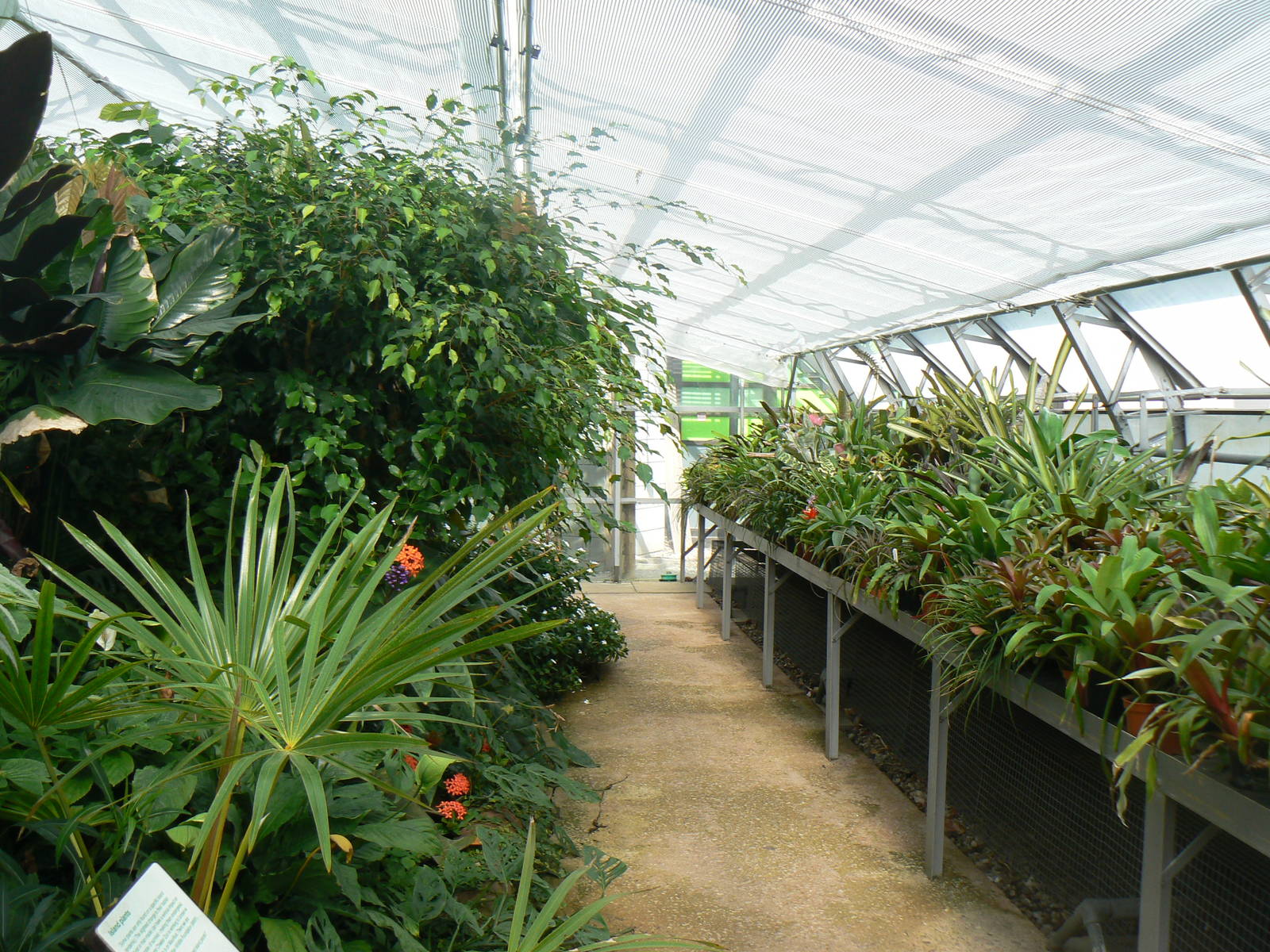 Grow Zone- View Of Green House