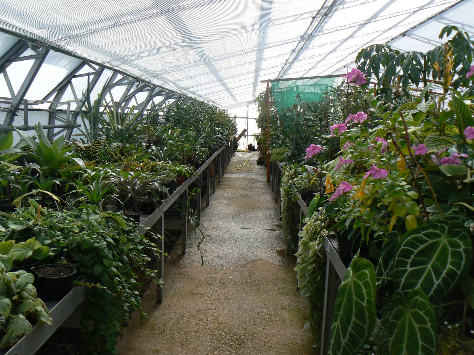 Grow Zone- View Of Green House
