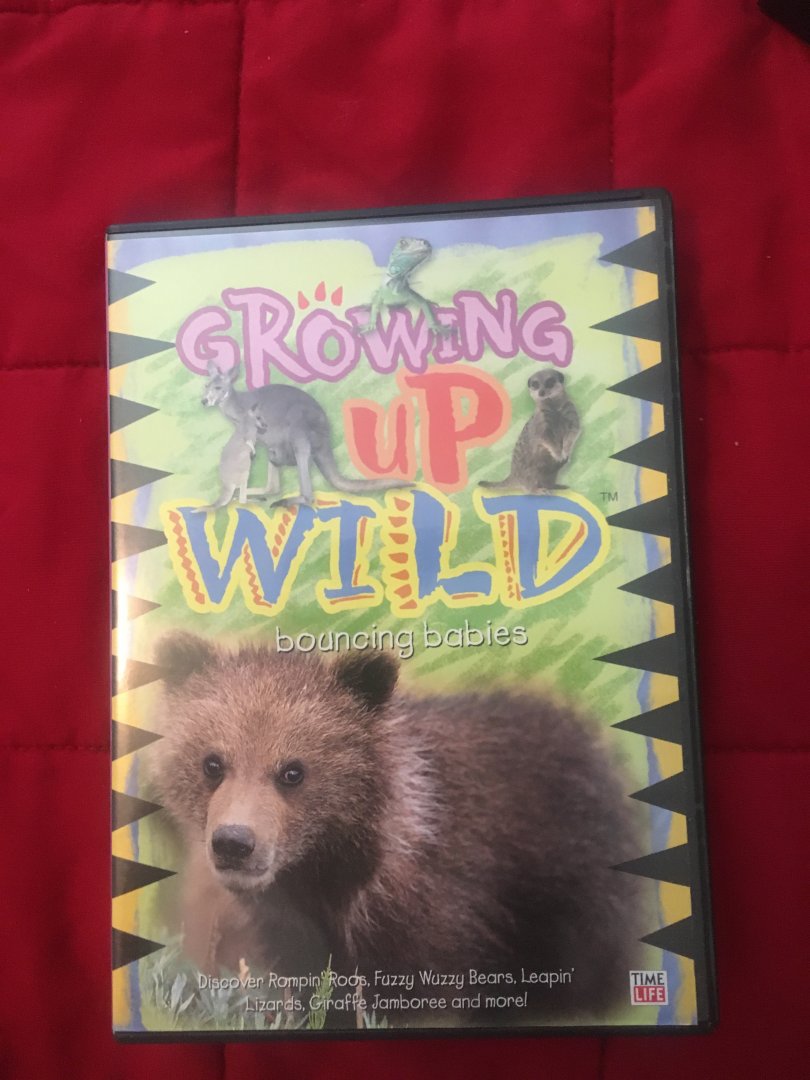 Growing Up Wild - Bouncing Babies